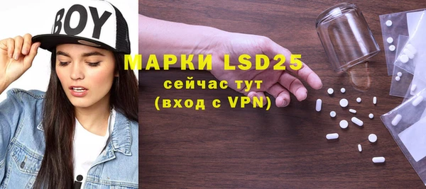 прущие грибы Гатчина
