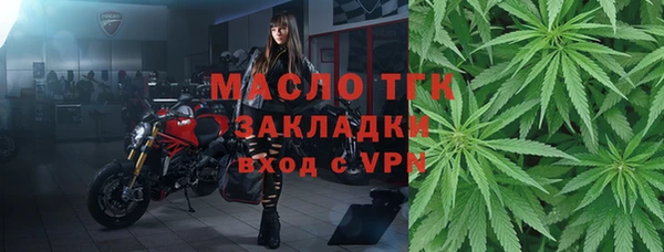 прущие грибы Гатчина