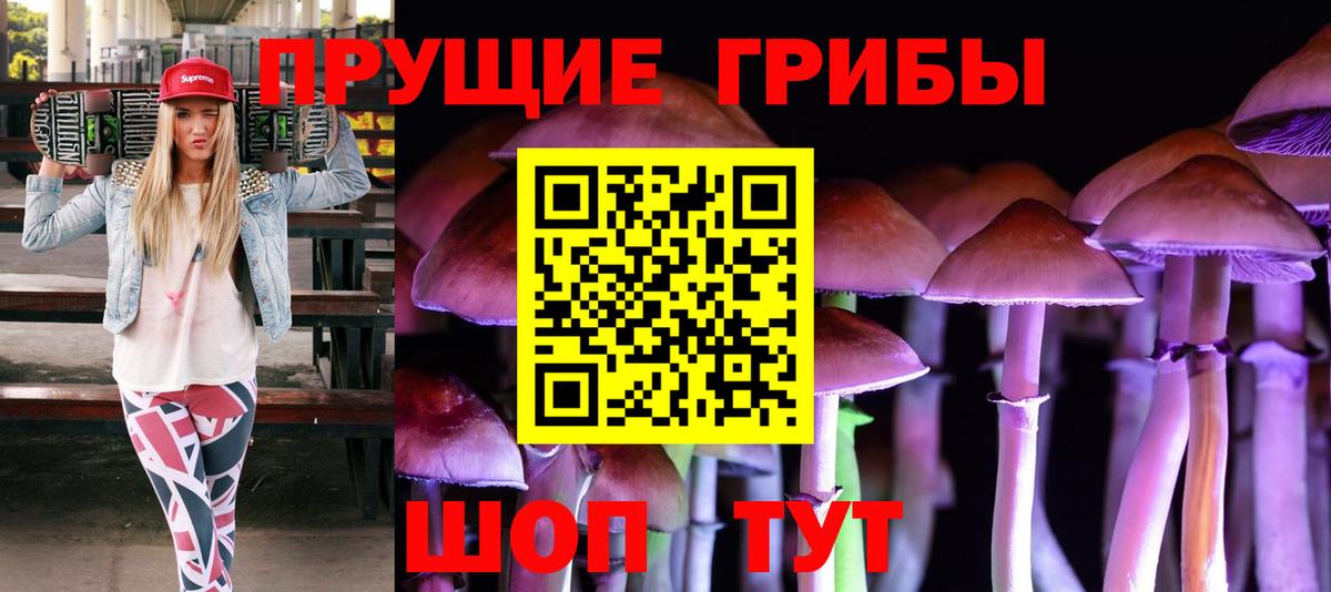 наркошоп  Псилоцибиновые грибы ЛСД  Вход с VPN  Мурино  Псилоцибиновые грибы Cubensis 